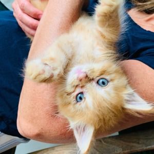 Meet your Posher, Debra